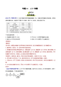 专题04 ATP和酶2024年高考真题和模拟题生物分类汇编