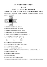 2024广州广铁一中、广州外国语学校、广州大学附中高二下学期期末考试生物含解析