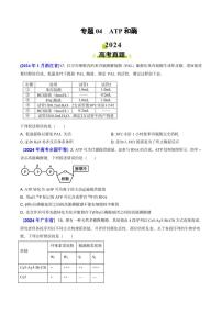 专题04 ATP和酶2024年高考真题和模拟题生物分类汇编(含解析）