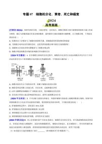 专题07 细胞的分化、衰老、死亡和癌变-2024年高考真题和模拟题生物分类汇编(含解析）