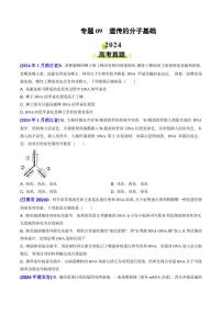 专题09 遗传的分子基础-2024年高考真题和模拟题生物分类汇编（含解析）