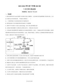 生物-湖北省荆州市沙市中学2025届（2022级）（新）高三上学期7月月考试题和答案