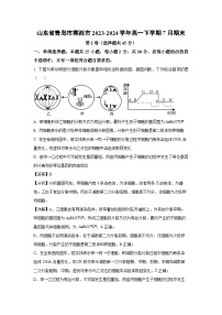 [生物][期末]山东省青岛市莱西市2023-2024学年高一下学期7月期末试卷(解析版)