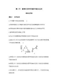 浙科版 (2019)选择性必修1 稳态与调节第三节  植物对多种环境信号做出反应课后练习题