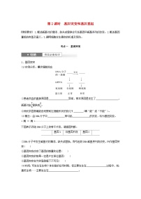 2024届高考生物一轮复习学案第七单元生物的变异和进化第2课时基因突变和基因重组苏教版