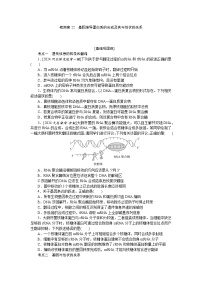 2025届高中生物全程复习构想检测课时训练22基因指导蛋白质的合成及其与性状的关系（Word版附解析）