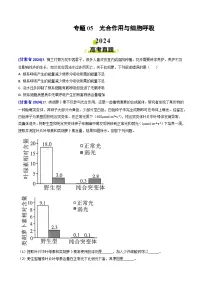 2024年高考真题和模拟题生物分类汇编（全国通用）专题05 光合作用与细胞呼吸(原卷版）