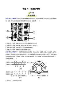 2024年高考真题和模拟题生物分类汇编（全国通用）专题06 细胞的增殖(原卷版）