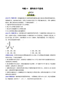 2024年高考真题和模拟题生物分类汇编（全国通用）专题09 遗传的分子基础(原卷版）