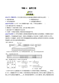 2024年高考真题和模拟题生物分类汇编（全国通用）专题18 基因工程(原卷版）