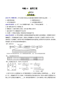 2024年高考真题和模拟题生物分类汇编（全国通用）专题18 基因工程(原卷版）