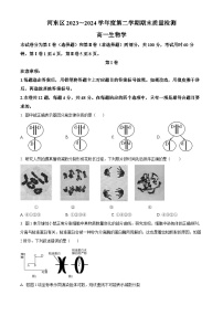 天津市河东区2023-2024学年高一下学期7月期末考试生物试题（Word版附解析）
