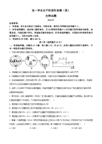 山东省青岛市莱西市2023-2024学年高一下学期7月期末考试生物试题（Word版附解析）