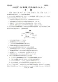 2025届广东省高三上学期第一次调研考试生物试题