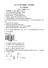 江苏省如皋中学2024-2025学年新高二上学期暑假开学学情调研生物试卷