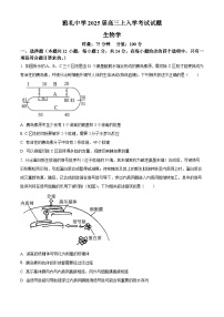 湖南省长沙市雅礼中学2024-2025学年高三上学期入学考试生物试卷（Word版附解析）