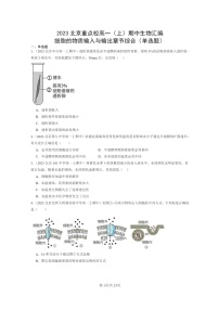 [生物]2023北京重点校高一上学期期中生物真题分类汇编：细胞的物质输入与输出章节综合(单选题)