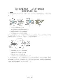 [生物]2023北京重点校高一上学期期中生物真题分类汇编：主动运输与胞吞、胞吐