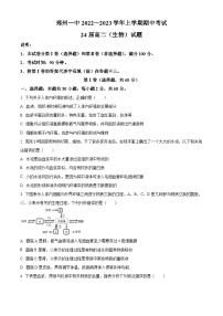 河南省郑州市第一中学2022-2023学年高二上学期期中考试生物试题（原卷版+解析版）