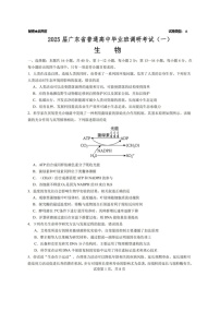 2025届广东省高三上学期第一次调研考试生物试题