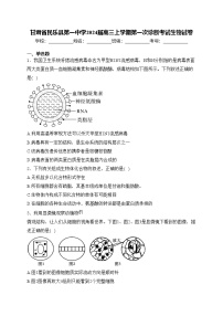 甘肃省民乐县第一中学2024届高三上学期第一次诊断考试生物试卷(含答案)