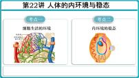 第22讲 人体的内环境与稳态-备战2025年高考生物一轮复习精优课件