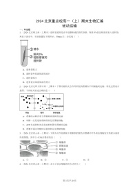 [生物]2024北京重点校高一上学期期末生物真题分类汇编：被动运输