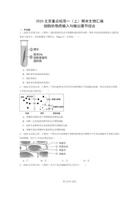 [生物]2024北京重点校高一上学期期末生物真题分类汇编：细胞的物质输入与输出章节综合