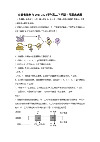 [生物][期末]安徽省滁州市2023-2024学年高二下学期7月期末试题(解析版)