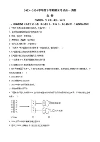 辽宁省名校联盟2023-2024学年高一下学期7月期末考试生物试卷（Word版附解析）