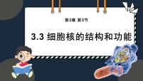 生物必修1《分子与细胞》第3节 细胞核的结构和功能评课ppt课件