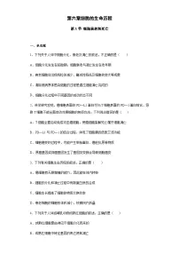 高中生物人教版 (2019)必修1《分子与细胞》第3节 细胞的衰老和死亡同步训练题