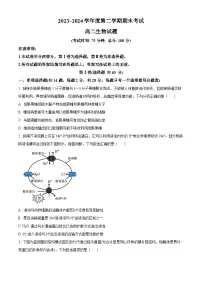江苏省泰州市2023-2024学年高二下学期6月期末考试生物试卷（Word版附解析）
