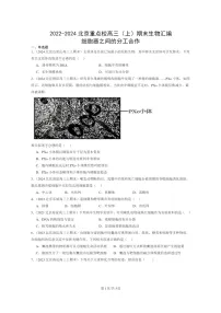 [生物]2022～2024北京重点校高三上学期期末生物真题分类汇编：细胞器之间的分工合作