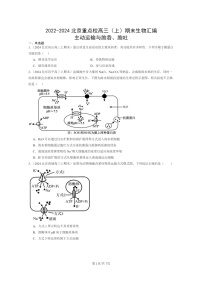 [生物]2022～2024北京重点校高三上学期期末生物真题分类汇编：主动运输与胞吞、胞吐