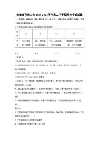 [生物][期末]安徽省马鞍山市2023-2024学年高二下学期期末考试试题(解析版)