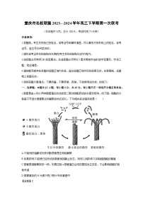 [生物]重庆市名校联盟2023—2024学年高三下学期第一次联考试卷(解析版)