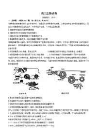 生物丨湖北省武汉市硚口区2024届高三上学期８月开学质量检测生物试卷及答案