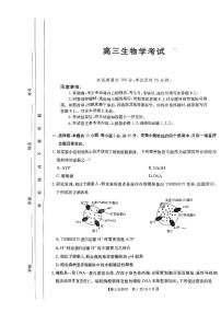 内蒙古自治区金太阳大联考2024-2025学年高三上学期开学生物试题