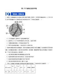 人教版 (2019)选择性必修1第1节 细胞生活的环境优秀课后作业题