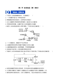 高中生物人教版 (2019)选择性必修1第4章 免疫调节第2节 特异性免疫优秀练习题