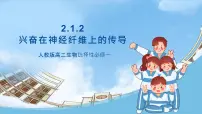 生物选择性必修1第3节 神经冲动的产生和传导精品课件ppt