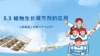 高中生物人教版 (2019)选择性必修1第3节 植物生长调节剂的应用优秀课件ppt