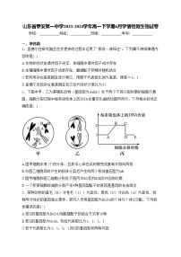 山东省泰安第一中学2023-2024学年高一下学期6月学情检测生物试卷(含答案)