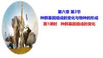 高中生物人教版 (2019)必修2《遗传与进化》一 种群基因组成的变化完美版课件ppt