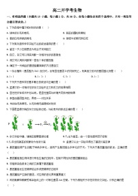 吉林省通化市梅河口市第五中学2024-2025学年高二上学期开学考试生物试卷（Word版附答案）