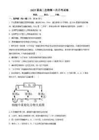 湖北省十堰市竹溪县第二高级中学2024-2025学年高三上学期摸底考试生物试卷（原卷版+解析版）