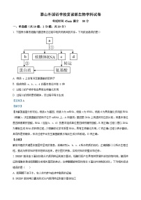 山东省泰安市泰山外国语学校复读部2024-2025学年高三上学期8月测试生物试题（解析版）