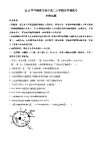 河南省鹤壁市淇滨区鹤壁市高中2024-2025学年高二上学期开学考试生物试题（原卷版）