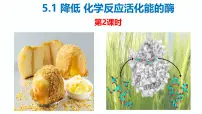 人教版 (2019)必修1《分子与细胞》一 酶的作用和本质试讲课课件ppt